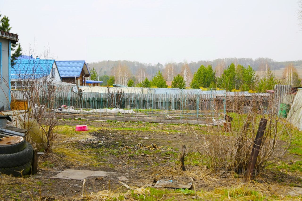 Купить дом в Сосновом переулке в поселке Новосафоновском в Прокопьевском  районе — 39 объявлений о продаже загородных домов на МирКвартир с ценами и  фото