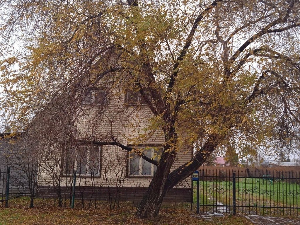 Купить дом на Олимпийской улице в рабочем поселке Саргатское в Саргатском  районе — 45 объявлений о продаже загородных домов на МирКвартир с ценами и  фото