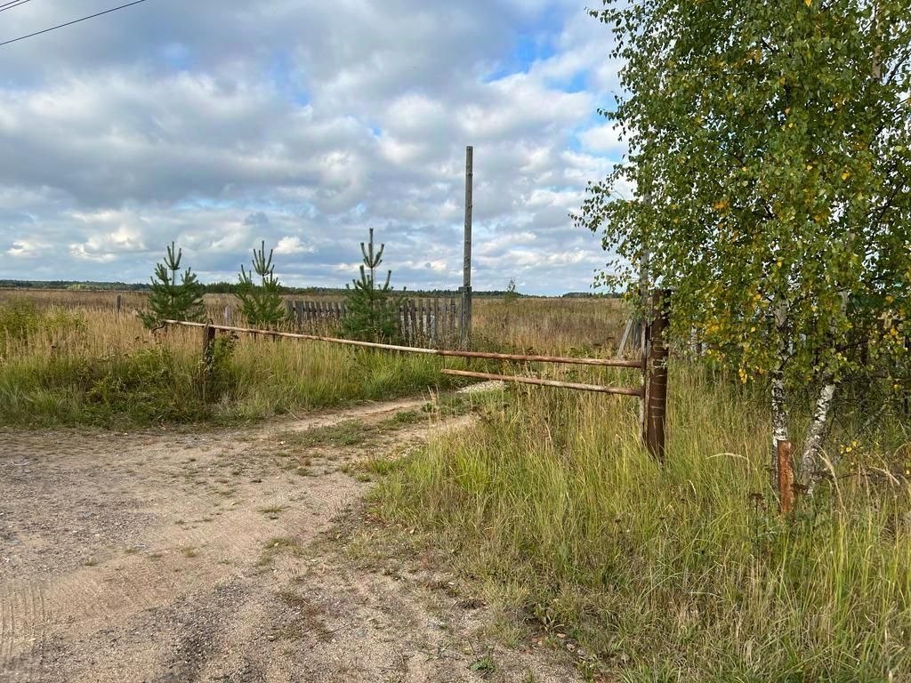 Купить участок в деревне Авдотьино в Можайском районе в Московской области  — 19 объявлений о продаже участков на МирКвартир с ценами и фото