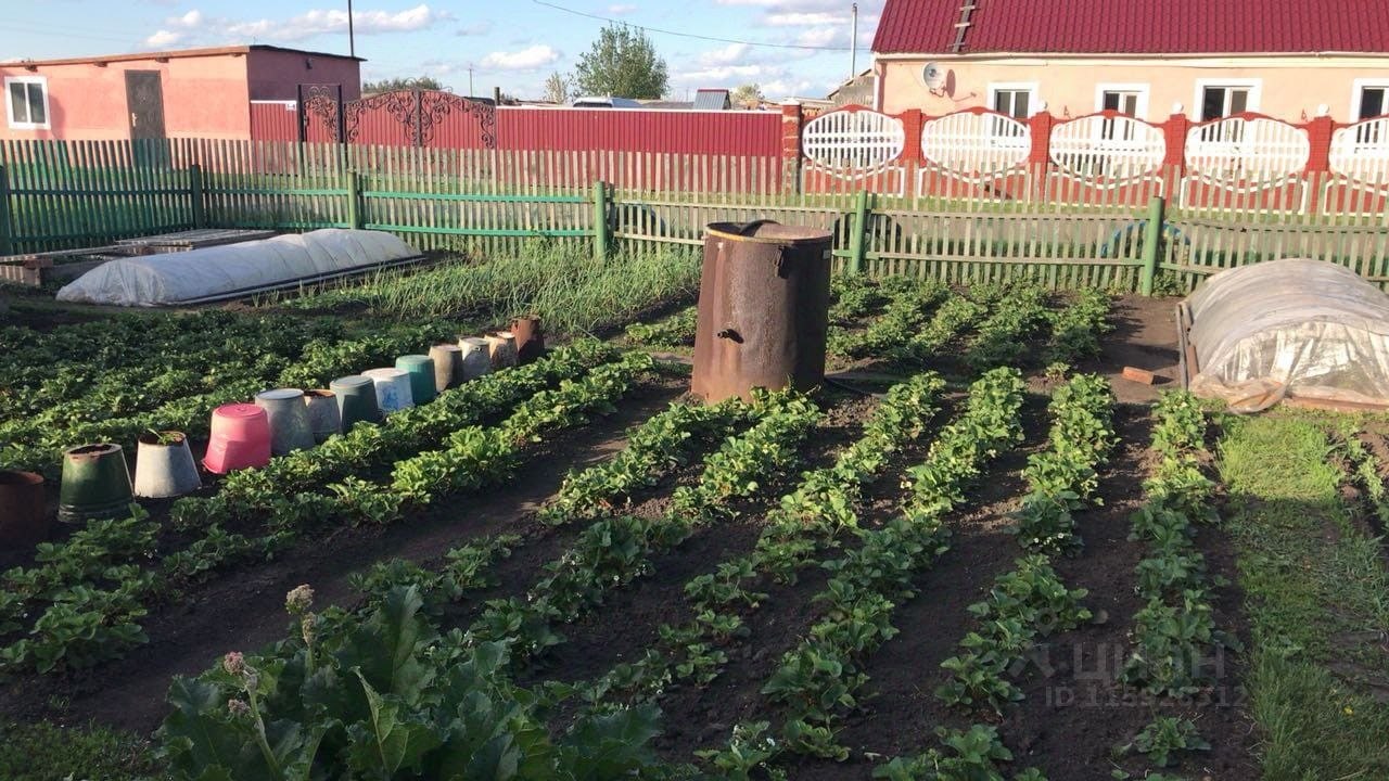 Купить дом в селе Шумановка в Немецком Национальном районе в Алтайском крае  — 13 объявлений о продаже загородных домов на МирКвартир с ценами и фото