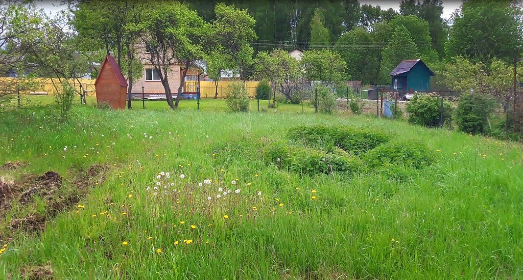 Шесть соток в Волоколамском районе, на которых можно строить что пожелаешь.  Фото: Мир Квартир