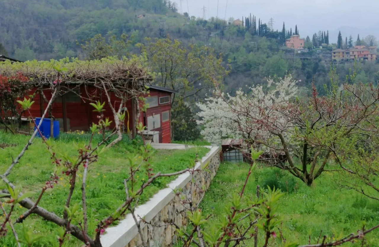 На курортном полуострове тоже есть «медвежьи углы» Фото: Мир Квартир
